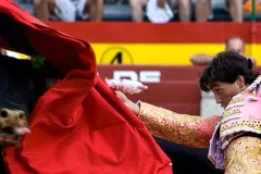 banner_ppal_03-1024x582-1