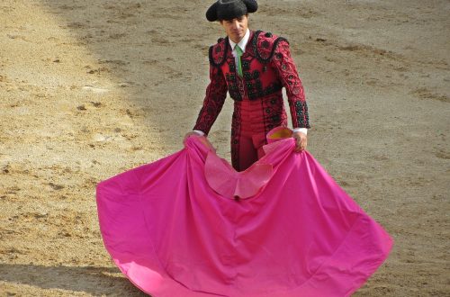 Bullfight Tickets Season 2020 - Las Ventas Bullring Madrid‎