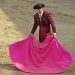 Bullfight Tickets Season 2020 - Las Ventas Bullring Madridā
